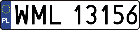 WML13156