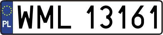 WML13161