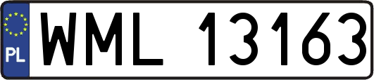 WML13163