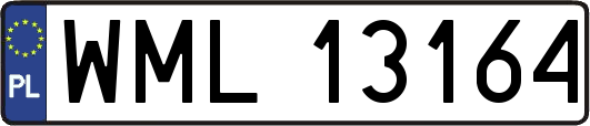 WML13164
