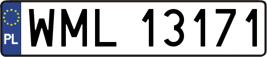 WML13171