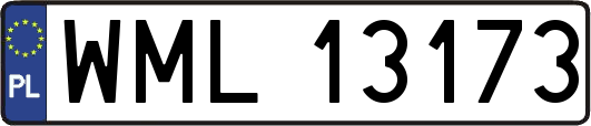 WML13173