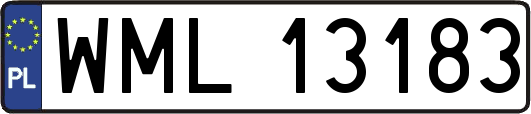 WML13183