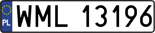 WML13196