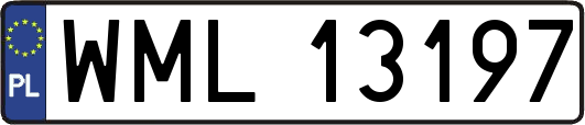 WML13197