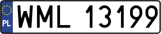 WML13199