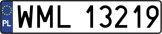 WML13219