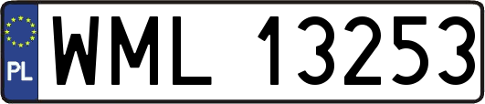 WML13253