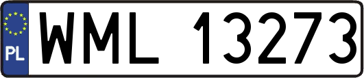 WML13273
