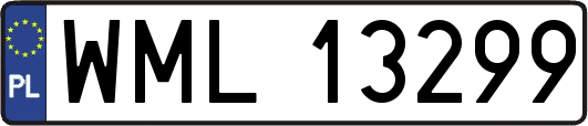 WML13299