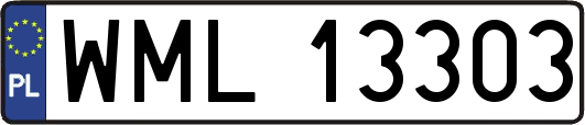WML13303