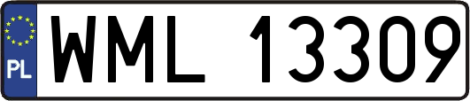 WML13309