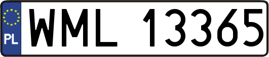 WML13365