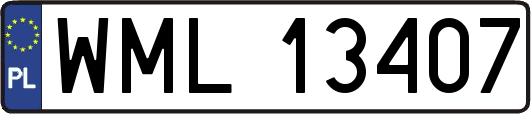 WML13407