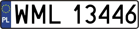 WML13446