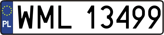 WML13499
