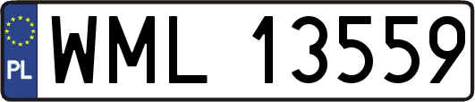 WML13559