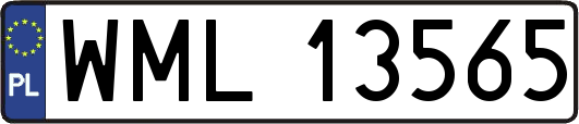 WML13565
