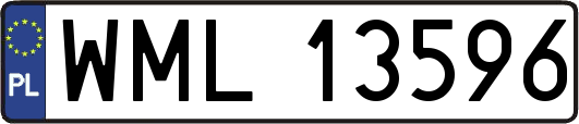 WML13596