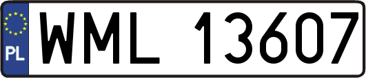 WML13607