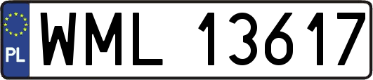 WML13617
