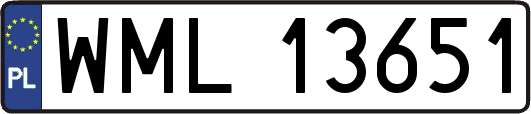 WML13651
