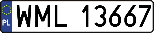 WML13667