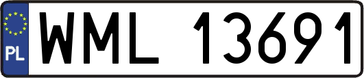 WML13691
