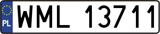WML13711