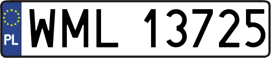WML13725