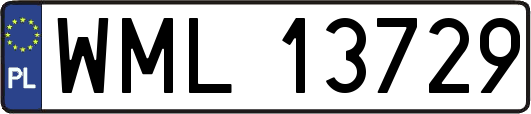 WML13729