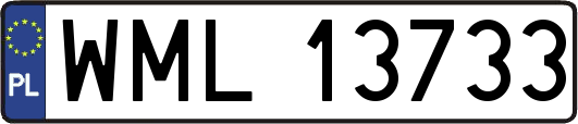 WML13733
