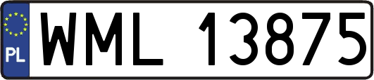 WML13875