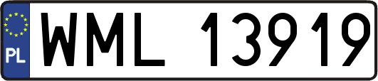 WML13919