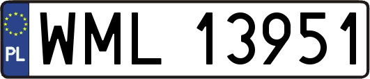 WML13951