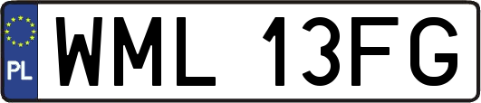 WML13FG