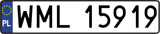 WML15919