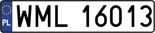 WML16013