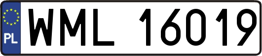 WML16019