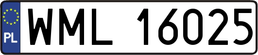 WML16025