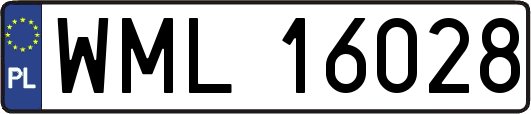 WML16028