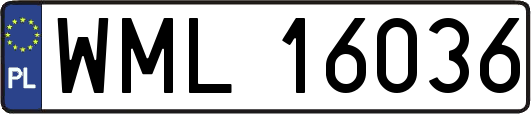 WML16036