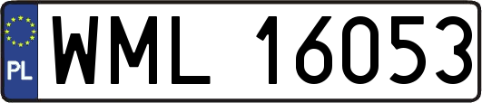 WML16053