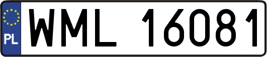 WML16081
