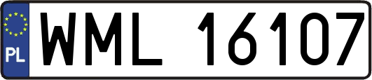 WML16107