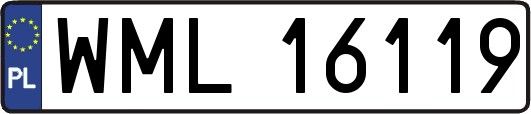 WML16119