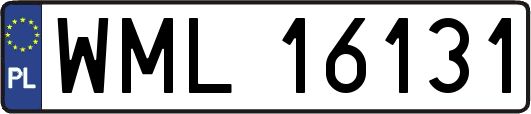 WML16131