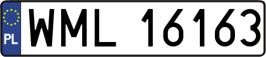 WML16163
