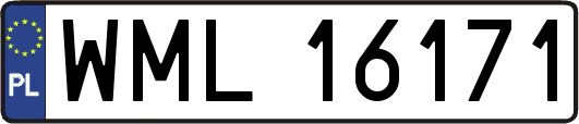 WML16171