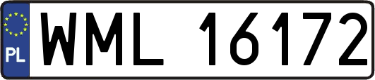 WML16172